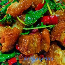 กับข้าว-กะเพราหพริกแห้งมูกรอบ