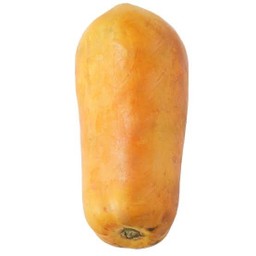 มะละกอฮอลแลนด์ 1ลูก