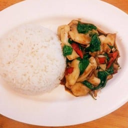 ผัดกระเพราปลาหมึกราดข้าว +ไข่ดาว