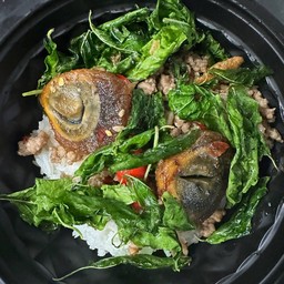 ข้าวกะเพรากรอบไข่เยี่ยวม้าหมูสับ
