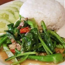 จิปาถะอาหารเเละเครื่องดื่มฮาลาล