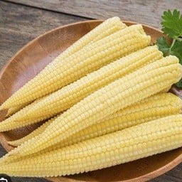 ข้าวโพดอ่อน