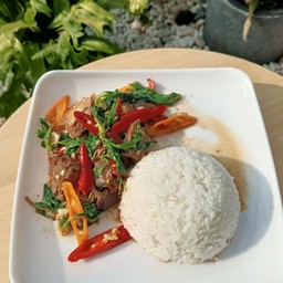 ข้าวผัดกระเพรา หมูตุ๋น