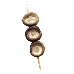 เห็ดหอม SHIITAKE MUSHROOM 香菇