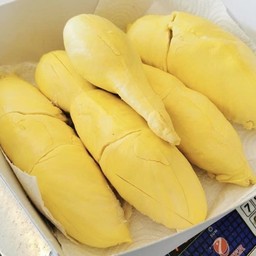 ทุเรียนหมอนทองเนื้อล้วน
