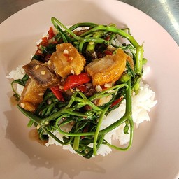 กระเฉดไฟแดง  ราดข้าว