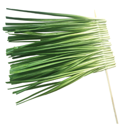 ★ กุ้ยช่าย GUILIN 韭菜