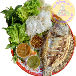 ปลานิลไซส์ XXL