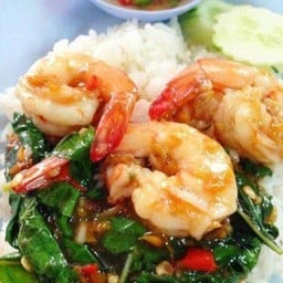 กระเพรากุ้ง