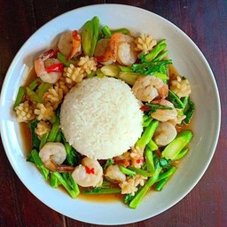 คะน้าทะเล