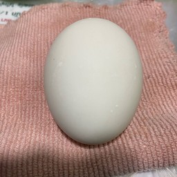 ไข่เค็ม