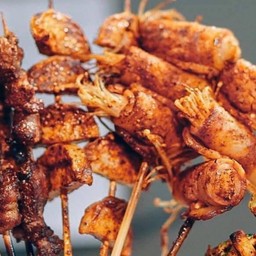 หม่าล่าเห็ดสะระตี่ ราชบุรี
