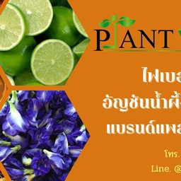 Wayty Herb น้ำสมุนไพร นิคมสินสาคร