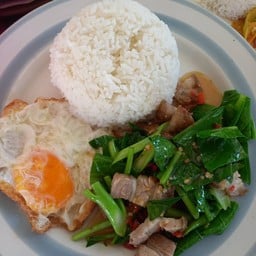 ครัวกะเพรา  หมูกรอบ