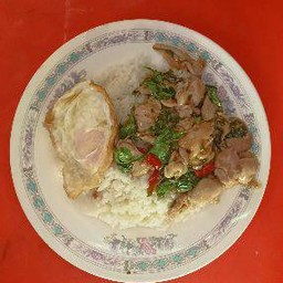 กระเพราไก่นุ่ม