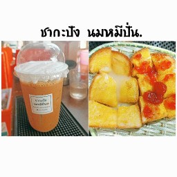 ชา กะ ปัง นมหมีปั่น