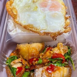 ผัดกะเพรา หมูกรอบ ราดข้าว