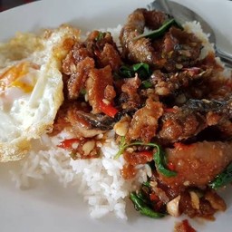 ข้าวกะเพราปลาดุกทอดกรอบ