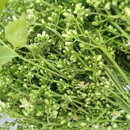 สะเดา น้ำปลาหวาน