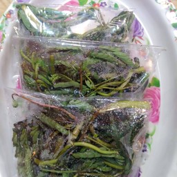 ผักกระเฉด