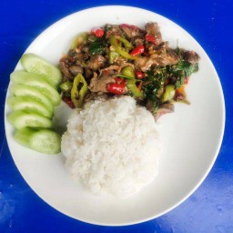 กระเพราเครื่องในไก่ราดข้าว