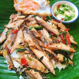 กระเพราปลาทูราดข้าว