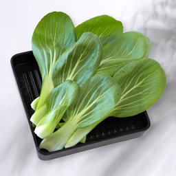 เบบี้ฮ่องเต้ GREEN BOK CHOY (100g.) 小青菜 