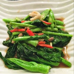 ข้าวราดผัดคะน้า