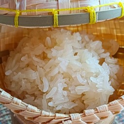 ข้าวเหนียว