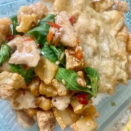 ข้าวกะเพราไก่กุ้ก กิ๊ก กากหมูเจียววไร้หนัง อร่อยมากแม่ !