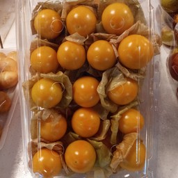 เคสกูสเบอรี่