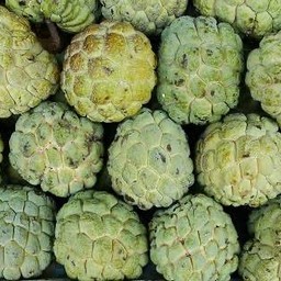 น้อยหน่า 1 ก.ก.