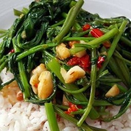 ัผักบุ้งไฟแดง(ราดข้าว)