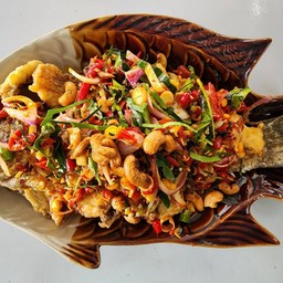 ปลากะพงลุยสวน