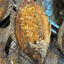 ปลานิลทอดกระเทียม