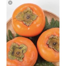 พลับเกาหลี 1 ลูก