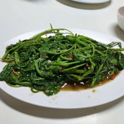 ผักบุ้งไฟแดง