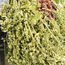 สะเดา กำละ