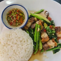 ข้าวคะน้า