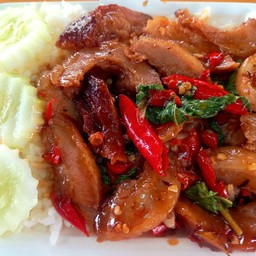 ผัดกะเพราคอหมูย่าง(ราดข้าว)