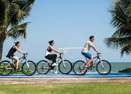 MENU_2530755QV_1698464571