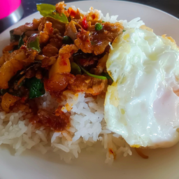 ข้าวราดผัดพริกแกงหมูป่า
