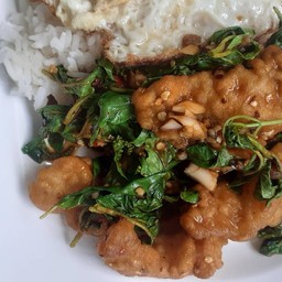 ผัดกระเพราปลาราดข้าวไข่ดาว