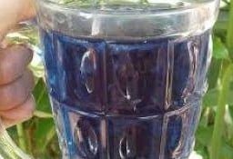 อัญชัญมะนาว