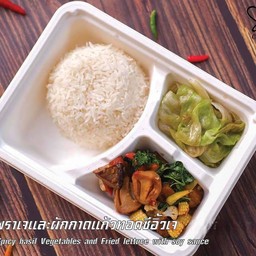 เมนูข้าวกล่อง ข้าวกะเพราเจ + ผักกาดแก้วทอดซีอิ้วเจ