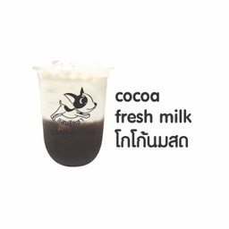 โกโก้นมสด