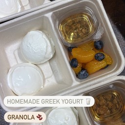 The islander Homemade Greek Yogurt Bar
