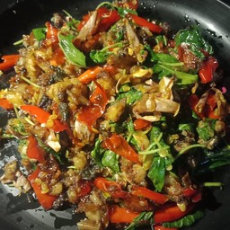 ผัดเผ็ดกบ