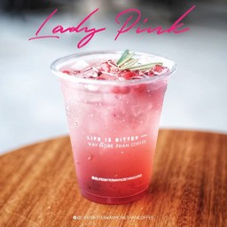 LADY PINK