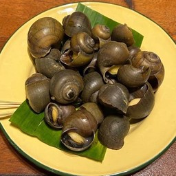 หอยโข่งนาลวก